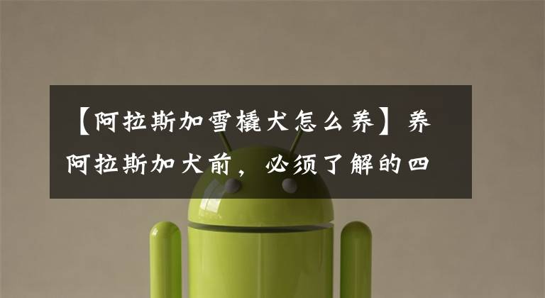 【阿拉斯加雪橇犬怎么养】养阿拉斯加犬前，必须了解的四个时期