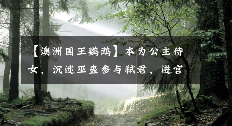 【澳洲国王鹦鹉】本为公主侍女，沉迷巫蛊参与弑君，进宫受宠不足百日便遭鞭杀抛尸
