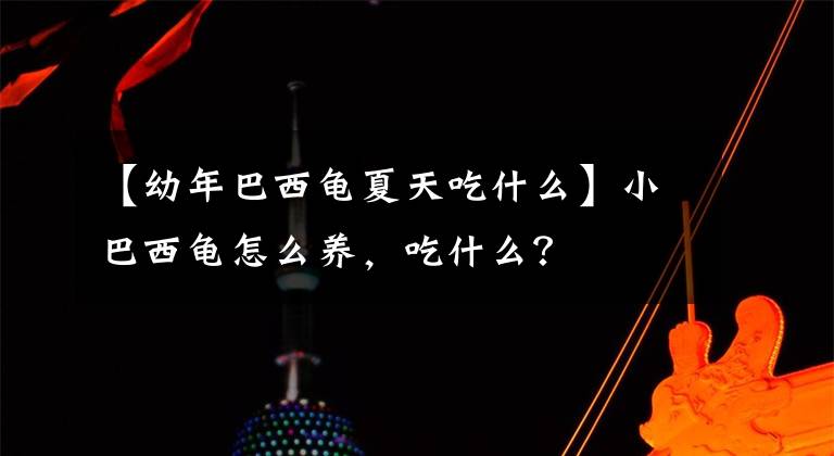 【幼年巴西龟夏天吃什么】小巴西龟怎么养，吃什么？
