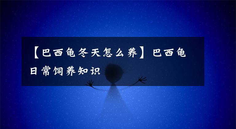 【巴西龟冬天怎么养】巴西龟日常饲养知识