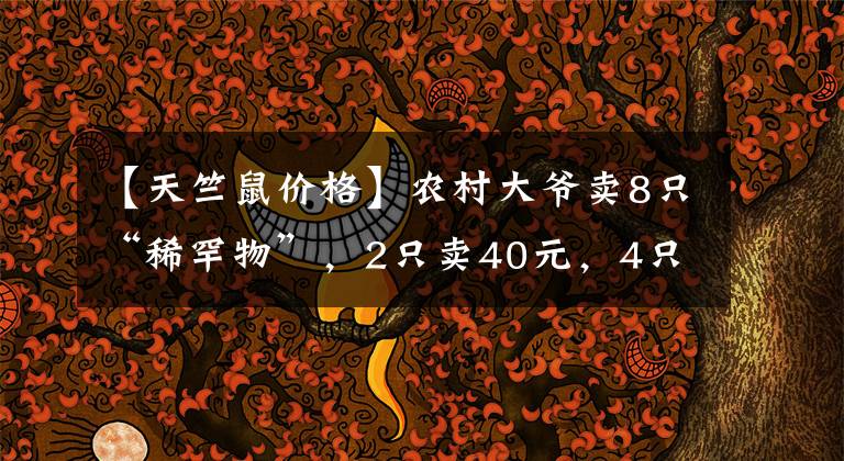 【天竺鼠价格】农村大爷卖8只“稀罕物”,2只卖40元,4只卖20元,摊主:赚大了