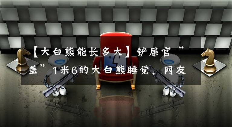 【大白熊能长多大】铲屎官“盖”1米6的大白熊睡觉,网友惊了:还能呼吸吗?