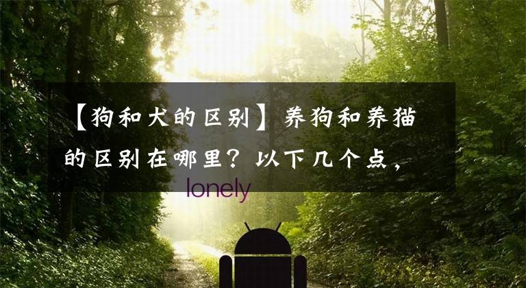 【狗和犬的区别】养狗和养猫的区别在哪里？以下几个点，是它们的主要区分