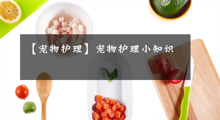 【宠物护理】宠物护理小知识