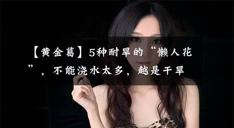 【黄金葛】5种耐旱的“懒人花”，不能浇水太多，越是干旱越旺盛漂亮