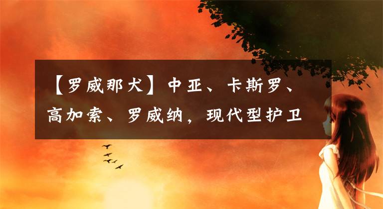 【罗威那犬】中亚、卡斯罗、高加索、罗威纳,现代型护卫犬中的四大金刚