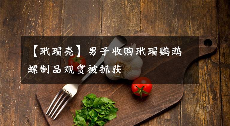 【玳瑁壳】男子收购玳瑁鹦鹉螺制品观赏被抓获