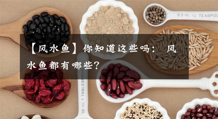 【风水鱼】你知道这些吗： 风水鱼都有哪些？