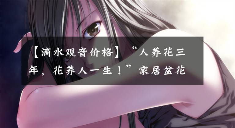 【滴水观音价格】“人养花三年,花养人一生!”家居盆花100种,总有几款你喜欢