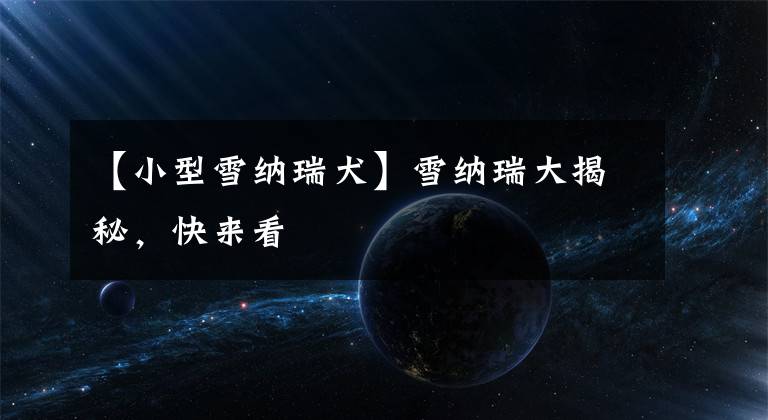 【小型雪纳瑞犬】雪纳瑞大揭秘，快来看