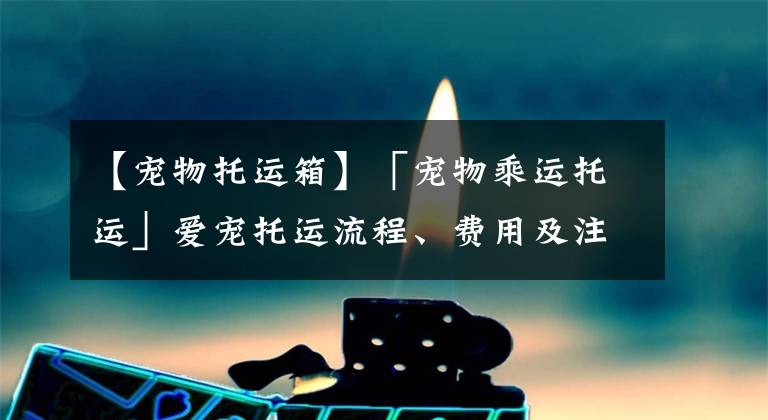 【宠物托运箱】「宠物乘运托运」爱宠托运流程、费用及注意 宠物搭乘交通工具知识