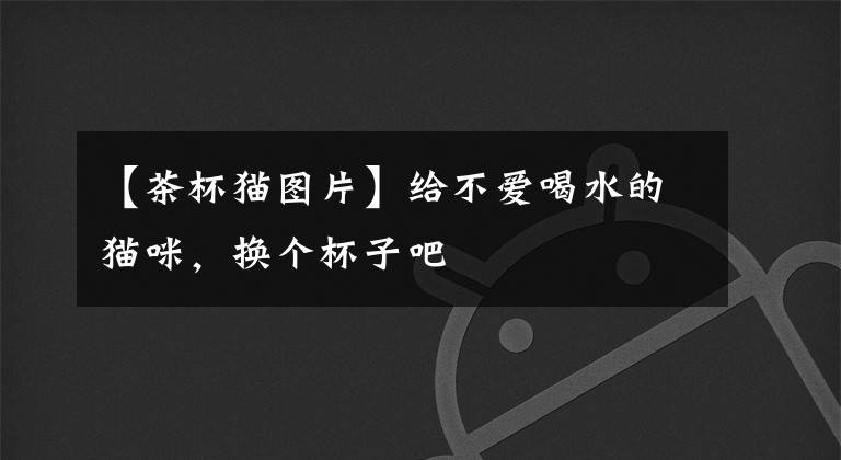 【茶杯猫图片】给不爱喝水的猫咪,换个杯子吧