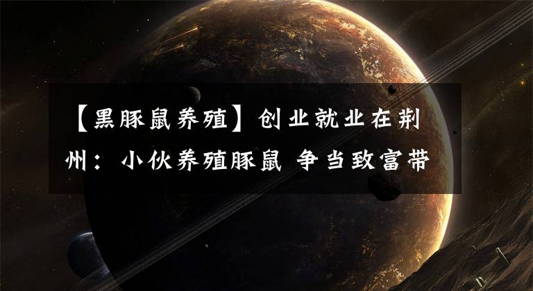 【黑豚鼠养殖】创业就业在荆州:小伙养殖豚鼠 争当致富带头人