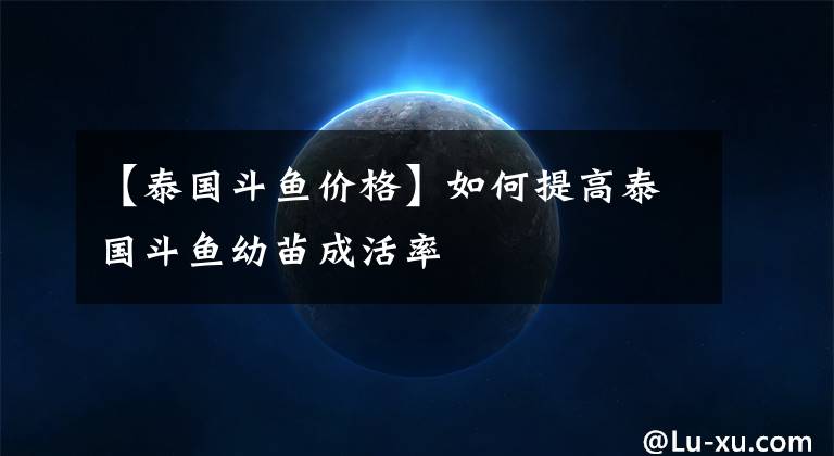 【泰国斗鱼价格】如何提高泰国斗鱼幼苗成活率