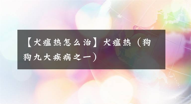 【犬瘟热怎么治】犬瘟热(狗狗九大疾病之一)