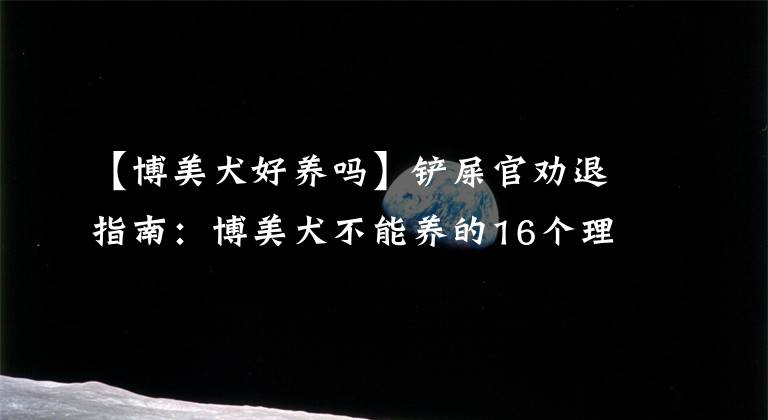 【博美犬好养吗】铲屎官劝退指南:博美犬不能养的16个理由