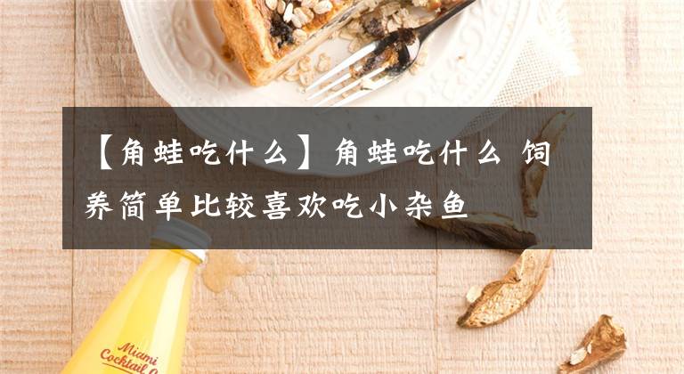 【角蛙吃什么】角蛙吃什么 饲养简单比较喜欢吃小杂鱼