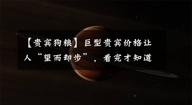 【贵宾狗粮】巨型贵宾价格让人“望而却步”，看完才知道贵的道理