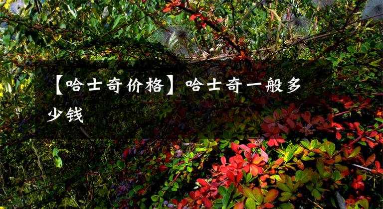 【哈士奇价格】哈士奇一般多少钱