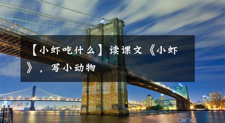 【小虾吃什么】读课文《小虾》，写小动物