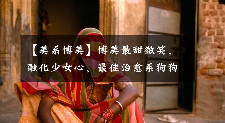 【美系博美】博美最甜微笑,融化少女心,最佳治愈系狗狗狂撩路人