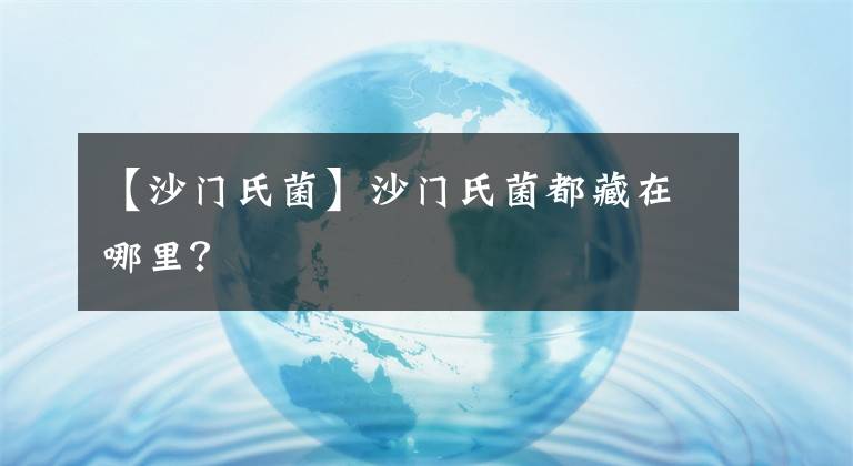【沙门氏菌】沙门氏菌都藏在哪里？