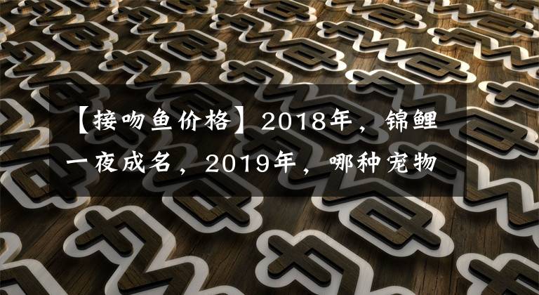【接吻鱼价格】2018年，锦鲤一夜成名，2019年，哪种宠物鱼会成功逆袭？你猜猜看