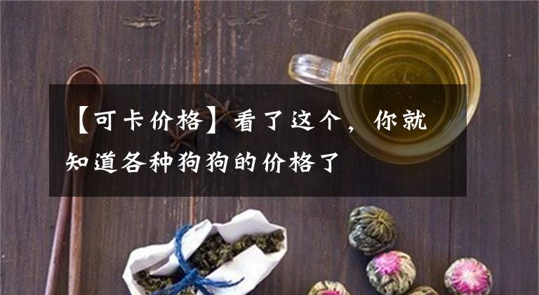 【可卡价格】看了这个,你就知道各种狗狗的价格了