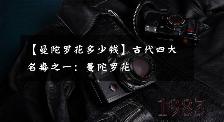 【曼陀罗花多少钱】古代四大名毒之一：曼陀罗花