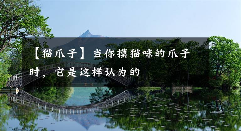 【猫爪子】当你摸猫咪的爪子时，它是这样认为的