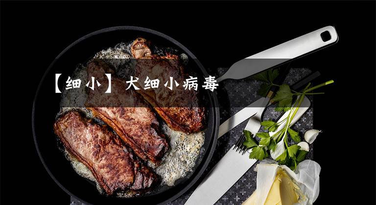 【细小】犬细小病毒