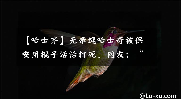 【哈士齐】无牵绳哈士奇被保安用棍子活活打死，网友：“把主人一并打死吧”