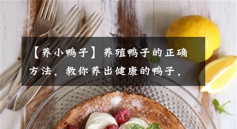 【养小鸭子】养殖鸭子的正确方法，教你养出健康的鸭子，养鸭户收藏吧