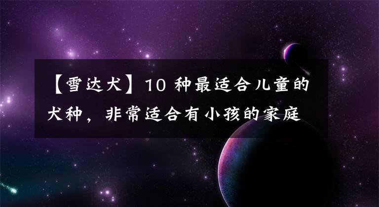 【雪达犬】10 种最适合儿童的犬种，非常适合有小孩的家庭 - 对孩子友好且可爱