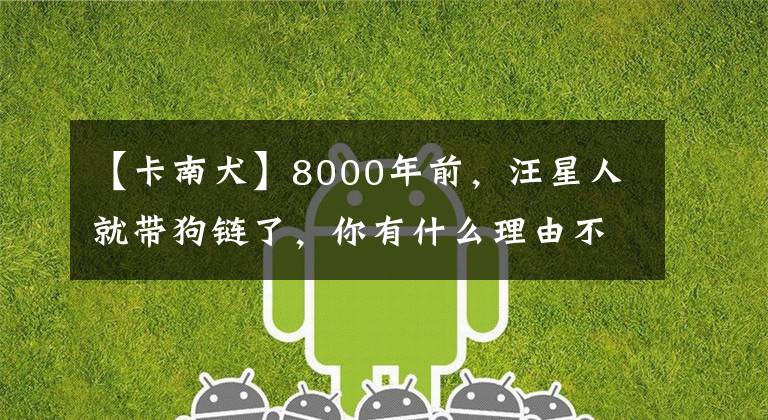 【卡南犬】8000年前,汪星人就带狗链了,你有什么理由不栓绳?