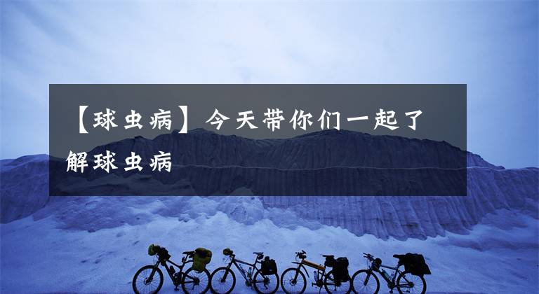 【球虫病】今天带你们一起了解球虫病
