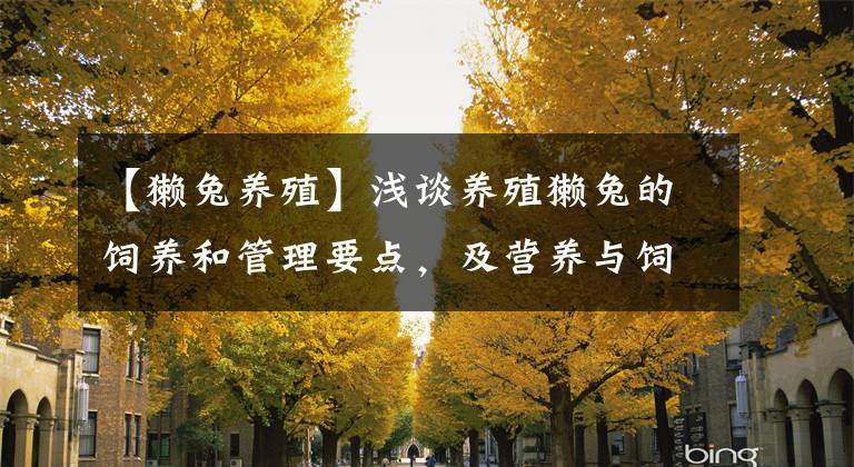 【獭兔养殖】浅谈养殖獭兔的饲养和管理要点，及营养与饲料搭配