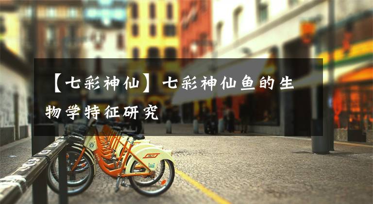【七彩神仙】七彩神仙鱼的生物学特征研究