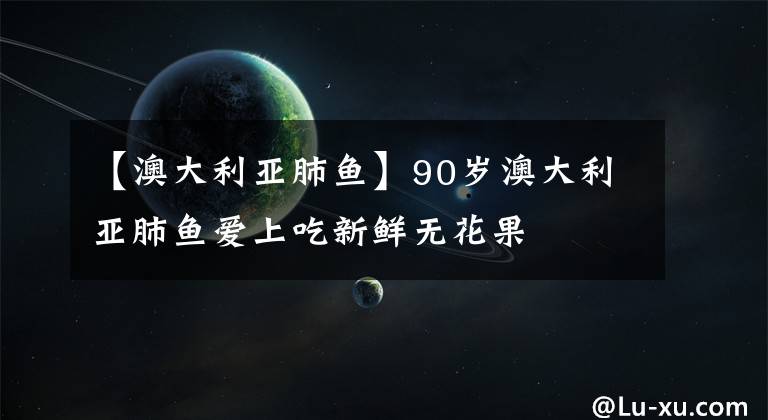 【澳大利亚肺鱼】90岁澳大利亚肺鱼爱上吃新鲜无花果