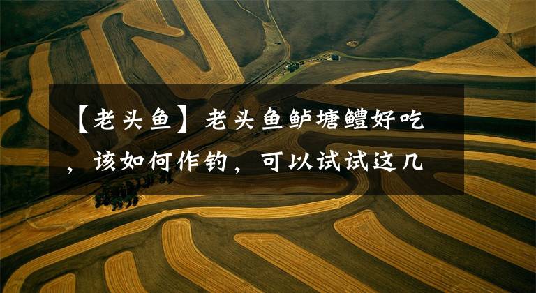 【老头鱼】老头鱼鲈塘鳢好吃，该如何作钓，可以试试这几种方法，绝对管用