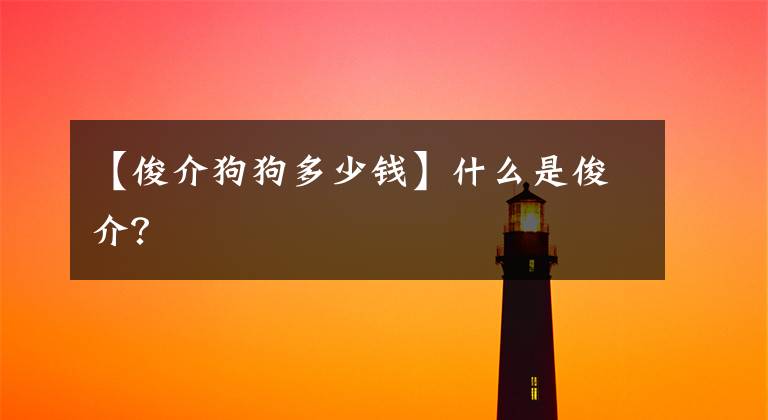 【俊介狗狗多少钱】什么是俊介？