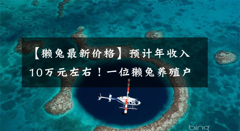 【獭兔最新价格】预计年收入10万元左右！一位獭兔养殖户的坚守与自豪