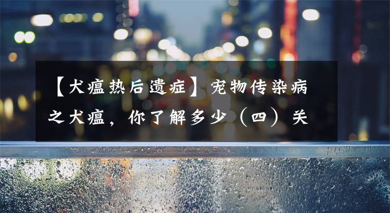 【犬瘟热后遗症】宠物传染病之犬瘟，你了解多少（四）关于预防