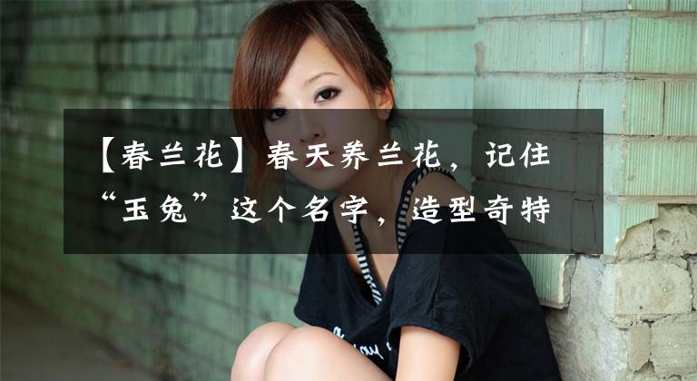 【春兰花】春天养兰花，记住“玉兔”这个名字，造型奇特，养护简单，太美了