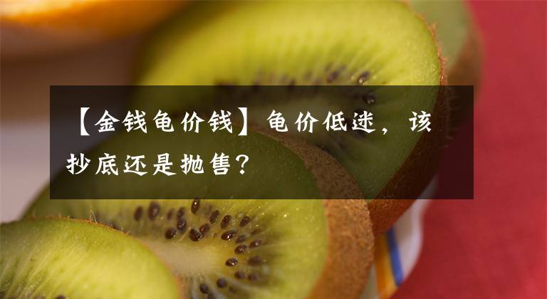 【金钱龟价钱】龟价低迷,该抄底还是抛售?
