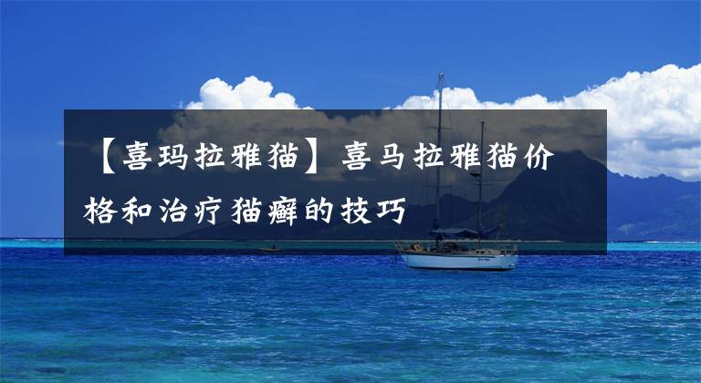 【喜玛拉雅猫】喜马拉雅猫价格和治疗猫癣的技巧