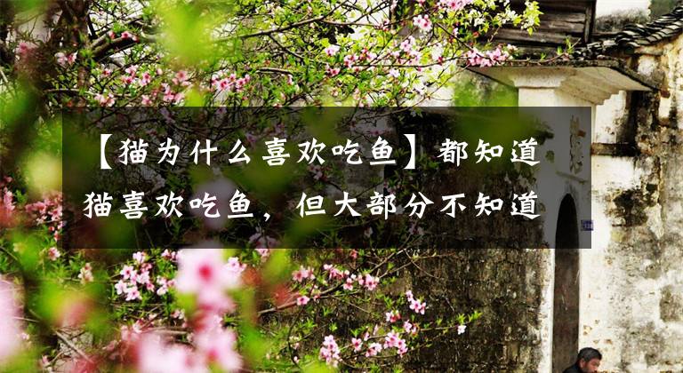 【猫为什么喜欢吃鱼】都知道猫喜欢吃鱼，但大部分不知道猫为什么喜欢吃鱼
