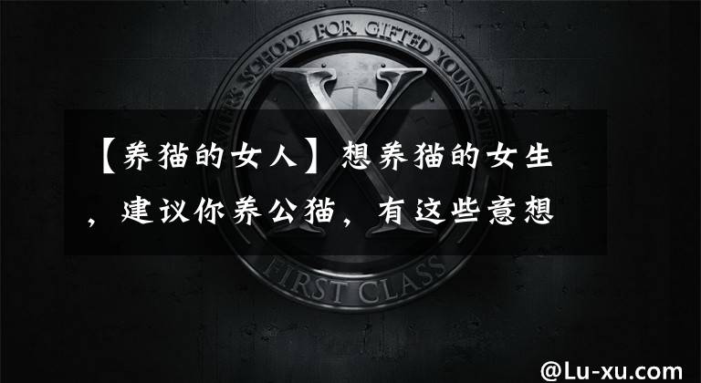 【养猫的女人】想养猫的女生，建议你养公猫，有这些意想不到的好处