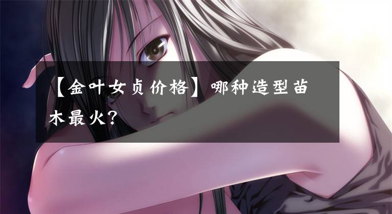 【金叶女贞价格】哪种造型苗木最火？