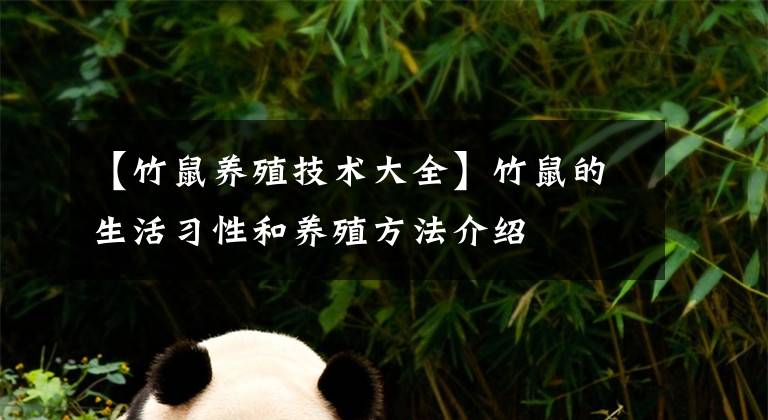 【竹鼠养殖技术大全】竹鼠的生活习性和养殖方法介绍